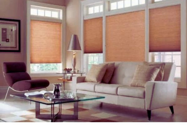 Wooden Vertical Window Blinds for Office