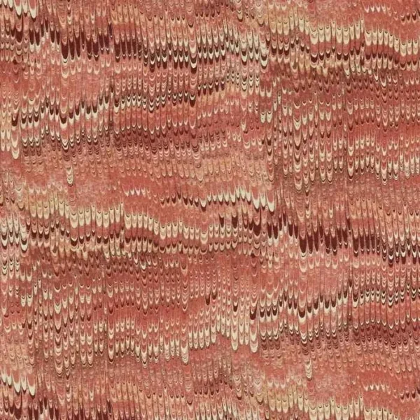 1970 Rosa Curtains image 2