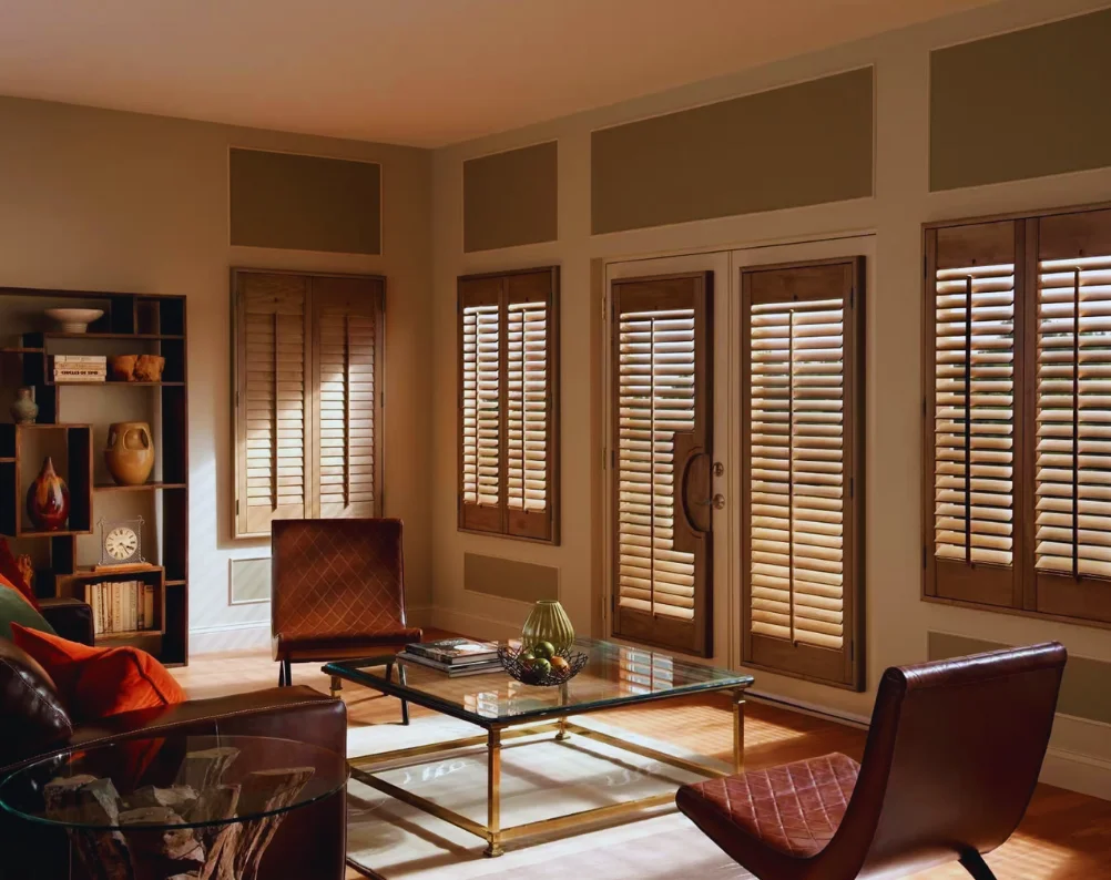 Window Blinds and Shutters