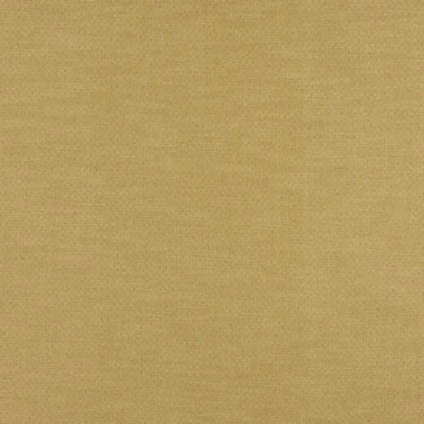 Pearl Wheat Curtains image 2