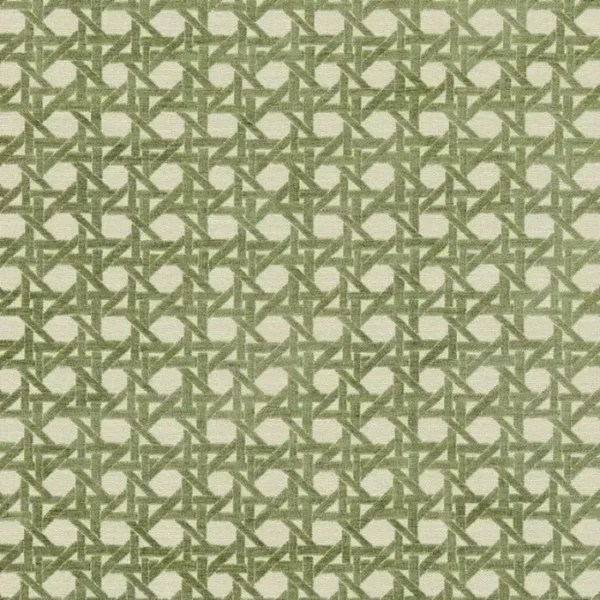 Wyndham's Rattan Pistachio Curtains image 2